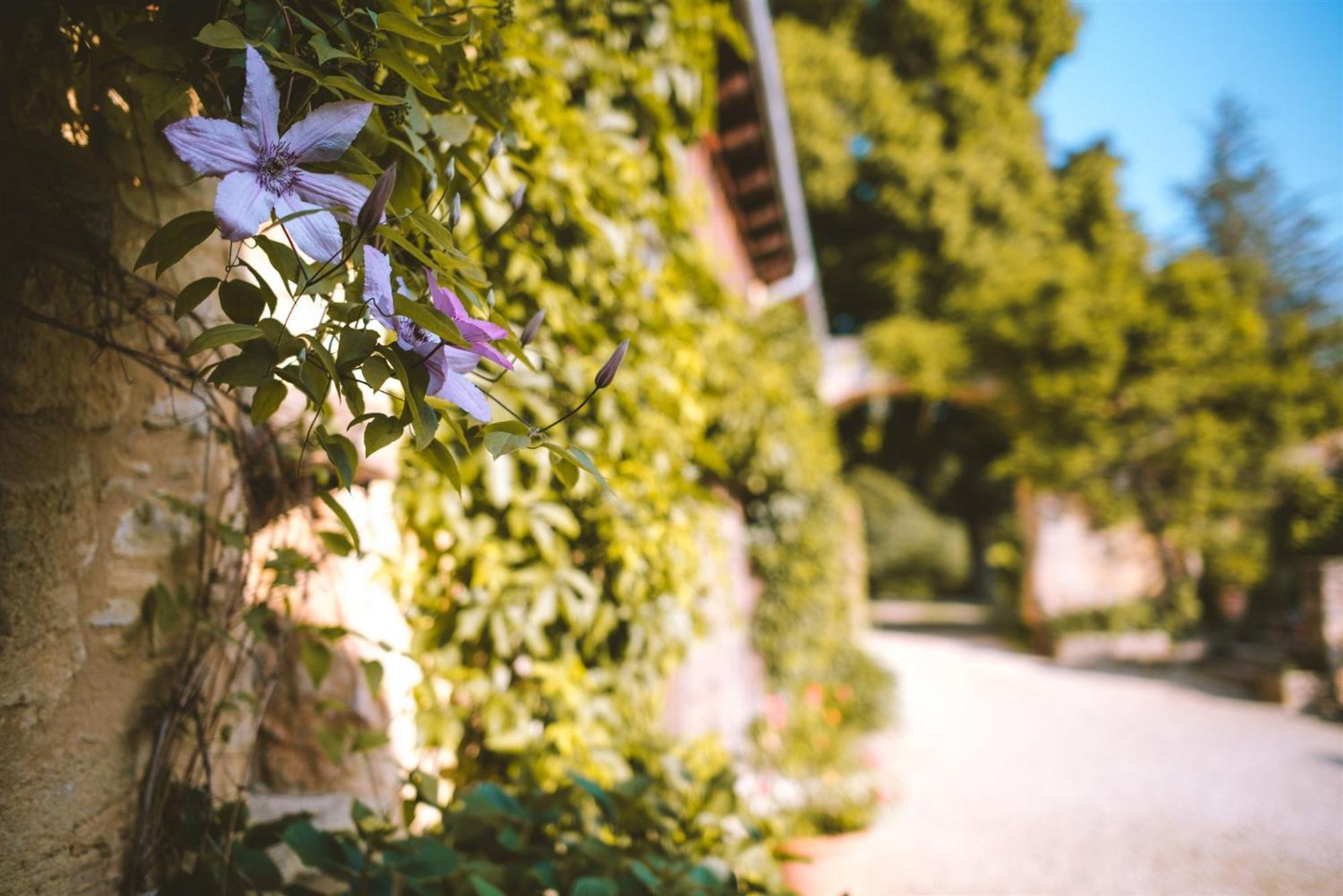 Domaine De Cournet Haut, A 17Th Century Property Set On A Calm, Idyllic Domain With Pool, Tennis, Bikes And More Les Vauries 外观 照片