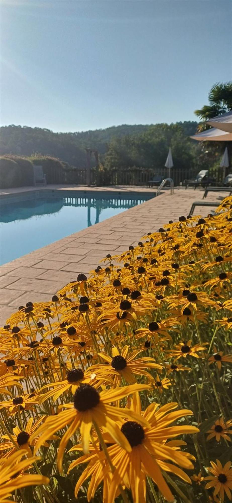 Domaine De Cournet Haut, A 17Th Century Property Set On A Calm, Idyllic Domain With Pool, Tennis, Bikes And More Les Vauries 外观 照片